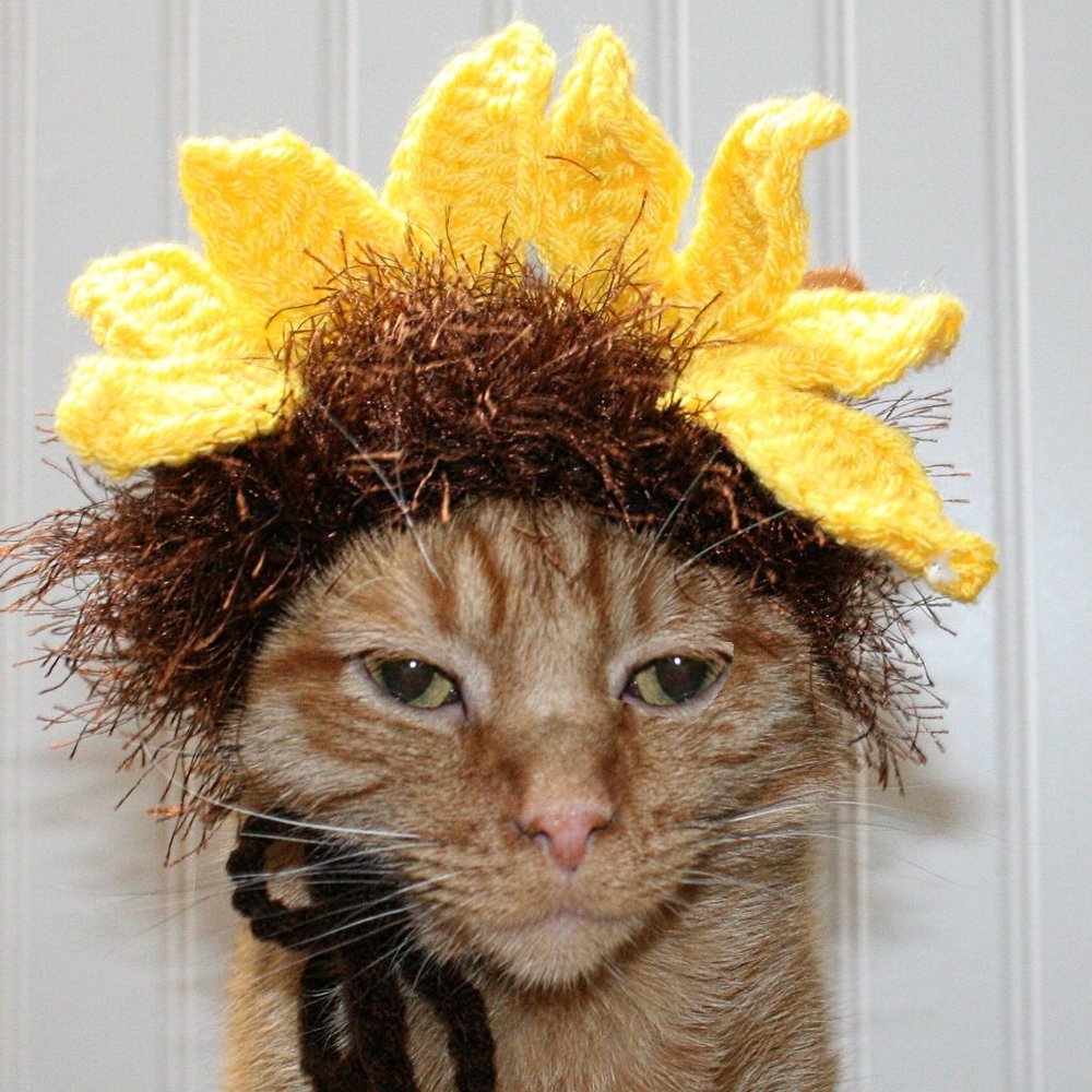 HAND CRAFTED Floral Sunflower Cat Hat Crochet Hairy Wig Costume Photo Prop